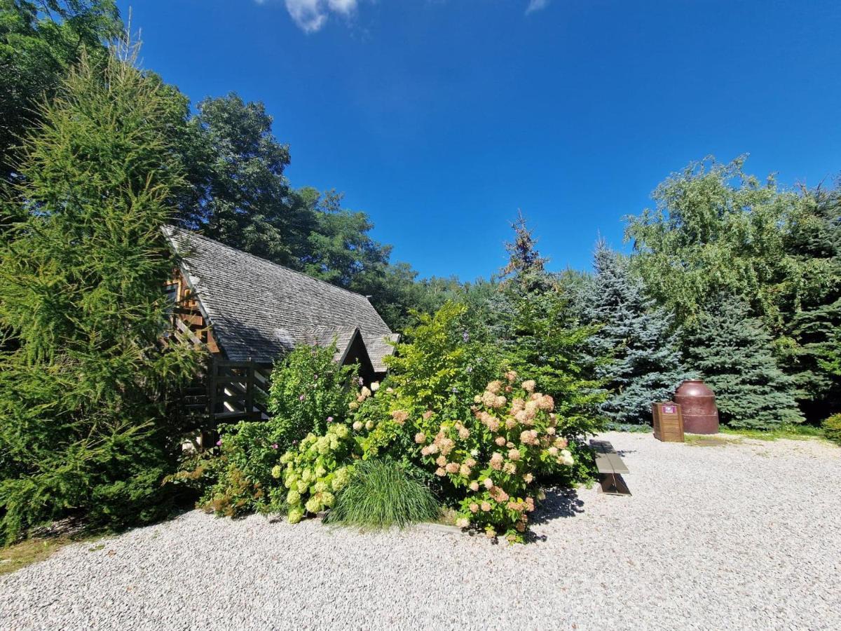 Oberza Pod Zlotym Prosiakiem Hotell Nieborów Exteriör bild